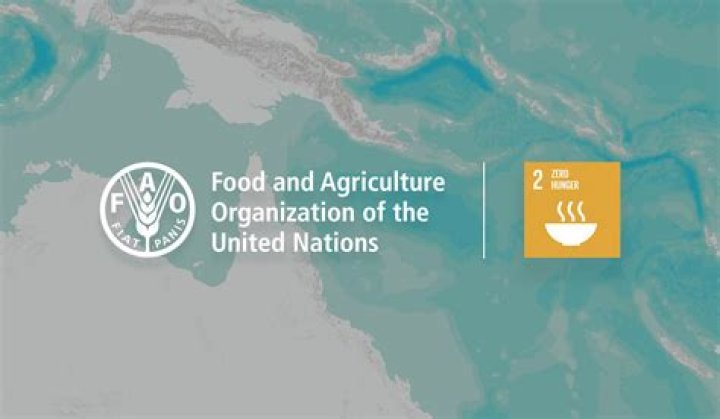 Food and Agriculture Organization of the UN | Business and Partnerships